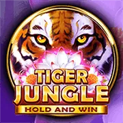 Bàn chơi Blackjack với các quân bài và chip cược